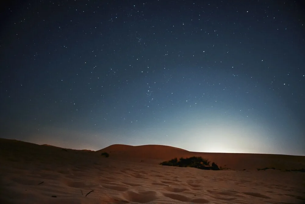 monahans+sandhills+state