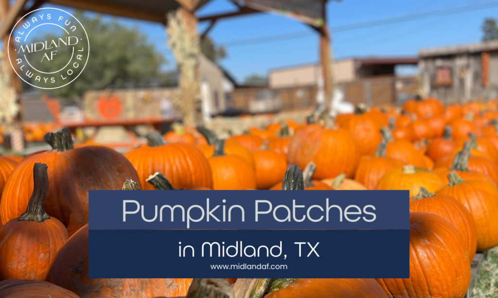 Pumpkin Patches in Midland, TX