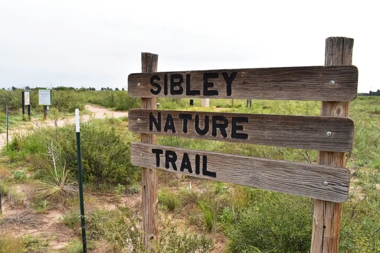 Sibley Nature midland texas (1)