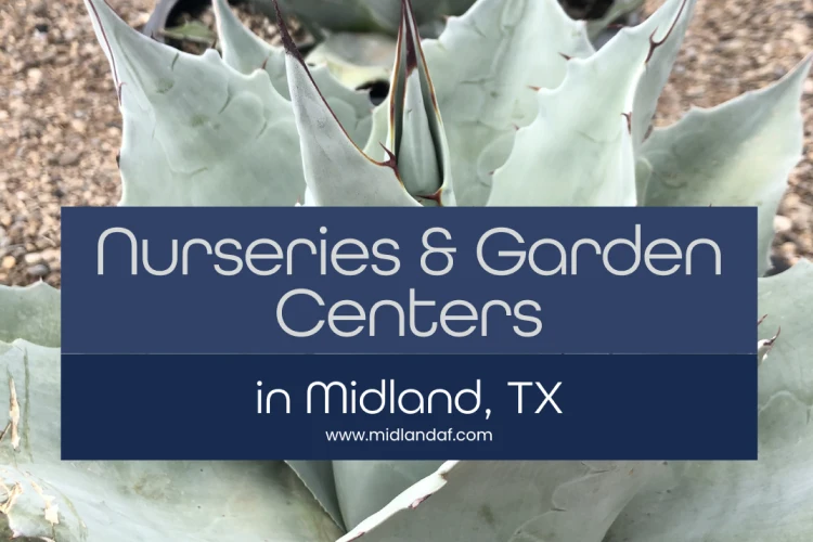 6 Local Nurseries in Midland TX