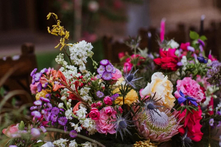 Velvet Mesquite Designs