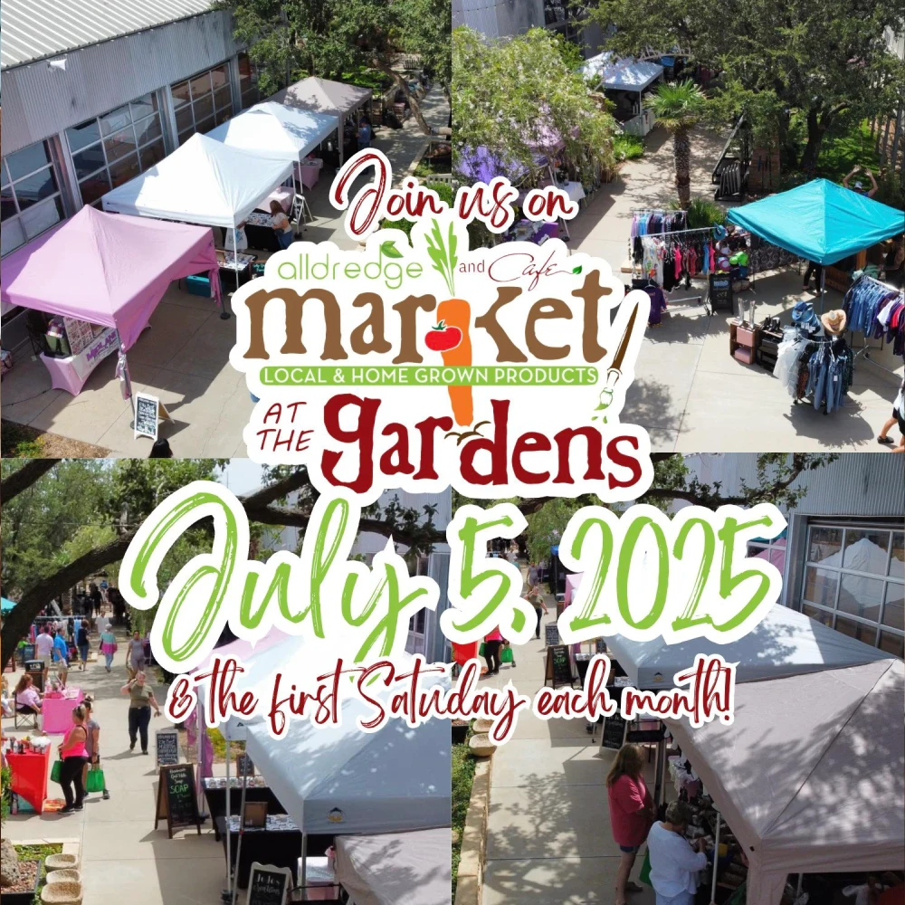 Kid-Friendly Dining Options in Midland, Texas 1 (1)