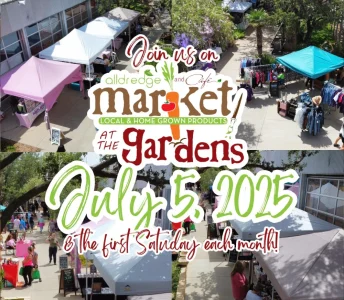 Kid-Friendly Dining Options in Midland, Texas 1 (1)