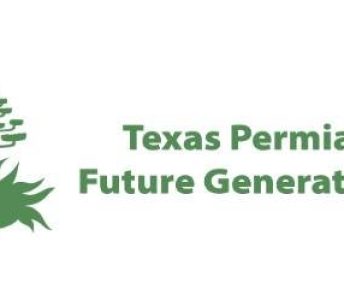 Making Dog Toys for Grand Companions